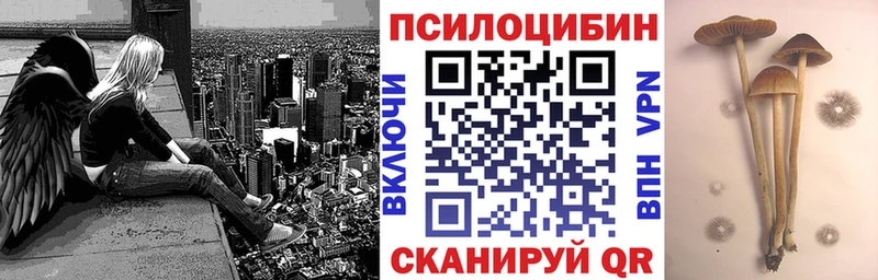Галлюциногенные грибы Psilocybine cubensis  купить  сайты  Талица 